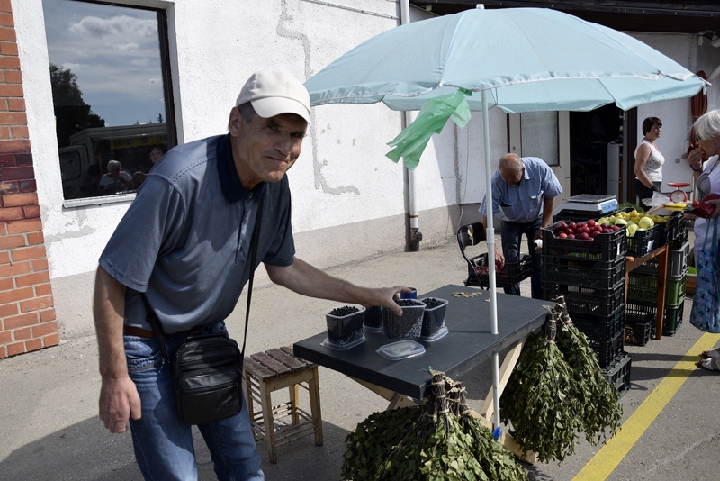 Guntars Jaksts uz tirgu atvedis ne tikai mellenes, bet arī pirtsslotas.
Autors: Ivars Bogdanovs