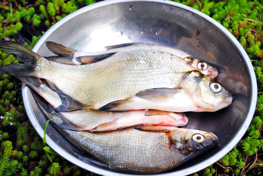 Autors: Sarmīte Ozola