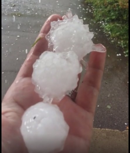 Krusa Svitenē, Rundāles novadā.
Autors: Jānis Trallis