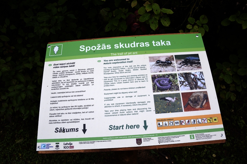 Autors: Ivars Bogdanovs