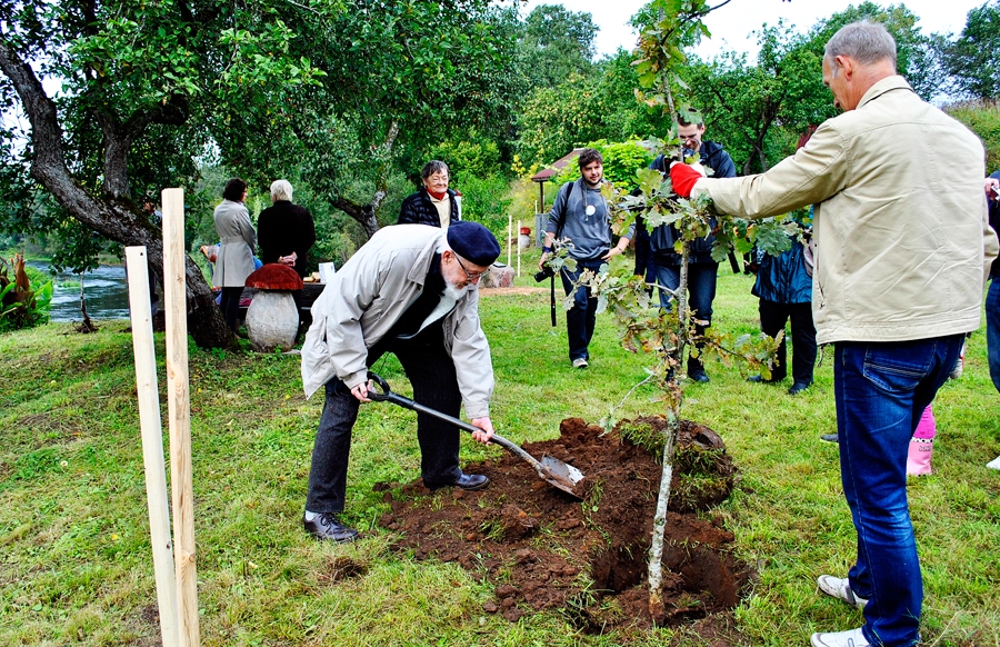 Ozolu mūžs pārsniedz cilvēka mūžu, un Kurmenes pagastā Mēmeles līkumā iestādītie latviskā spēka koki apliecinās Skujenieku dzimtas saknes un piederību savai zemei.
Autors: Vilnis Auzāns