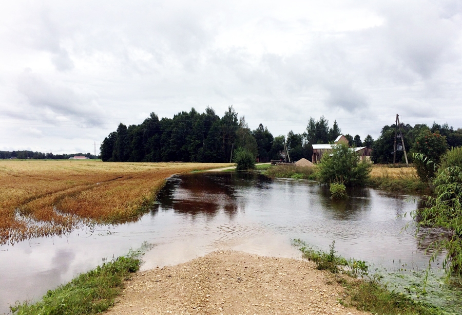 Latgalē lietavās applūda simtiem hektāru, sabojājot vēl nenopļauto labību.
Autors: no skaties.lv.