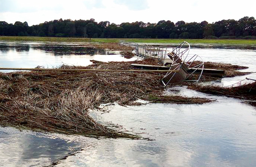 Lielupes augstais ūdens «aiznesis» gājēju tiltiņu Mežotnē.
Autors: Gunārs Šteinhards