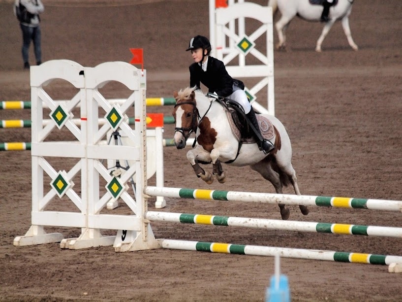 Autors: memelesjsk.wordpress.com