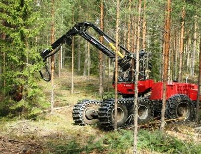 Autors: mezaipasnieki.lv