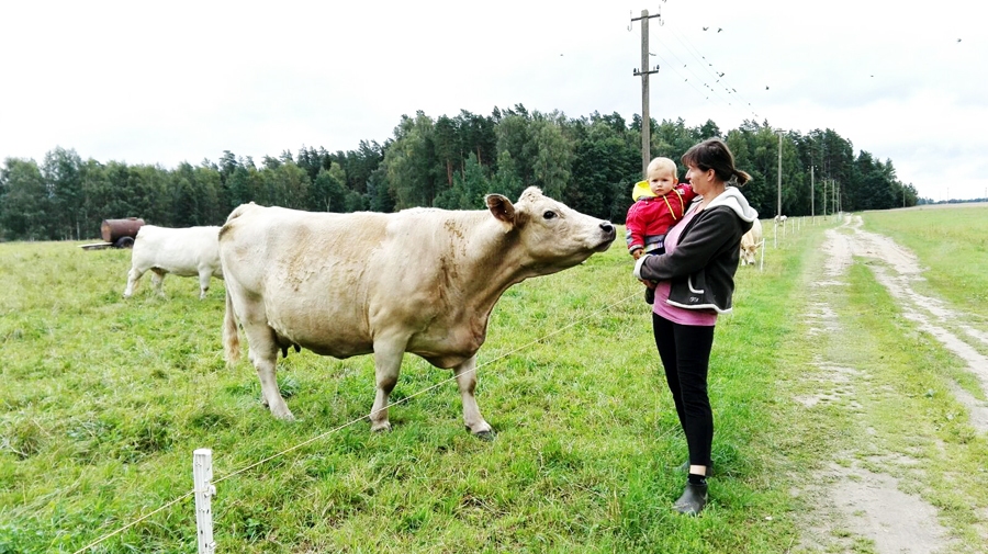 Zanes Pakalnes saimniecībā sniegtas konsultācijas par gaļas lopu turēšanu.
Autors: no LLKC albuma