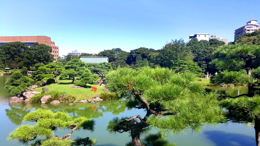 Daudzviet skatienam paveras pastkartēm līdzīgas ainavas.
Autors: no albuma.