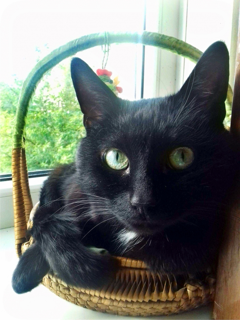 Runcis Jukki.
Autors: no albuma