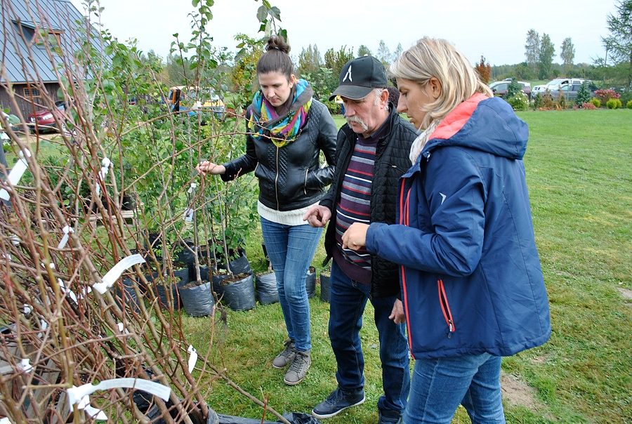 Maruta Kaminska kuplā skaitā sabraukušajiem augļu kociņu pircējiem sniedza padomus stādu kopšanā.
Autors: Antra Ērgle