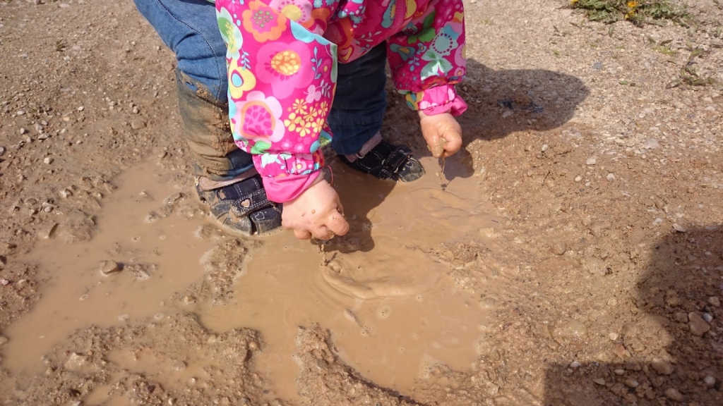 Autors: manasdebesis.com