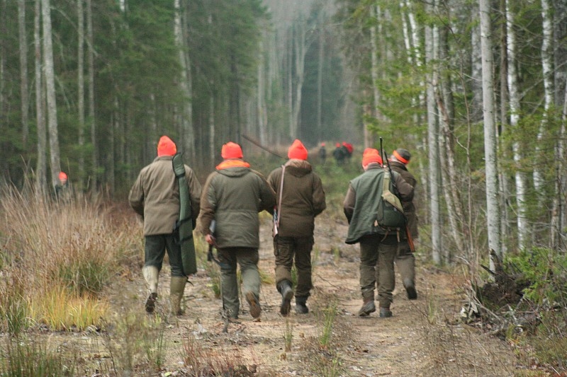 Autors: medniekiem.lv