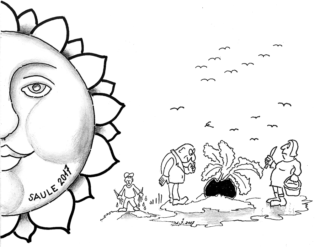 ŅĒMA, ŅĒMA, VISU NEPAŅĒMA. FAKTS: šīs vasaras sākuma un rudens kaprīzie laika apstākļi, šķita, vissāpīgāk skars siltummīlošos dārzeņus, kā arī ogas un augļus, taču vislielāko postu ilgstošās un stiprās lietavas nodarījušas Latgalei, kur daļa ražas paliks nenovākta.
Pie burkānu dobes sašļucis/ Stāv rūpju pārņemts Miķelis./ Ko novākt neesi paguvis,/ Tas slapjā zemē ir sapuvis./ Kā gan Latgales zemniekam būt,/ Ražas smaržu pat nesajūt./ To, kur viļņojās rudzu lauks,/ Nu par Kārsavas jūru sauks./ Zemgales dārznieks skurbi mulst,/ Zari no augļu smaguma lūst,/ Ābols tumīgs vai dzirkstoši dzidrs,/ Prātu reibinošs izdosies sidrs./ Kāda tu biji, gājusī vasara?/ Acu kaktiņā paslēpta asara/ Par krusu, par lietu, vētru spēju./ Par dzīvi, kas turpinās, – gavilēju!
Autors: Zīmējums – Laimonis Šulcs, rīmes – Daina Ziemele