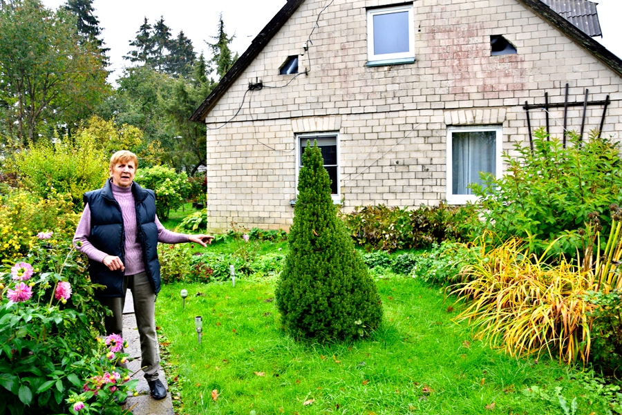 Smuidrai Hiršfeldei skaisto eglīti Mātes dienā uzdāvinājusi meita.
Autors: Ivars Bogdanovs