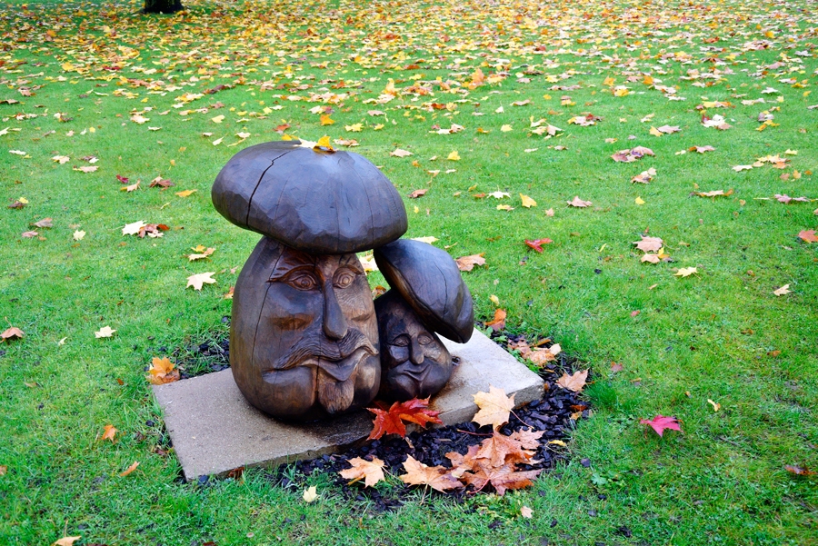 Pat sals nenokož šīs sēnītes. Kā norāda daži avoti, Latvijā esot atrastas vairāk nekā 4000 sēņu sugas. Starp tām vairāk nekā 200 ir ēdamas, taču groziņos parasti nonākot tikai 20 līdz 30 sugu sēnes. Attēlā skatāmās «kocinieces» diezin vai iekļautas šajā skaitā.
Autors: Ivars Bogdanovs