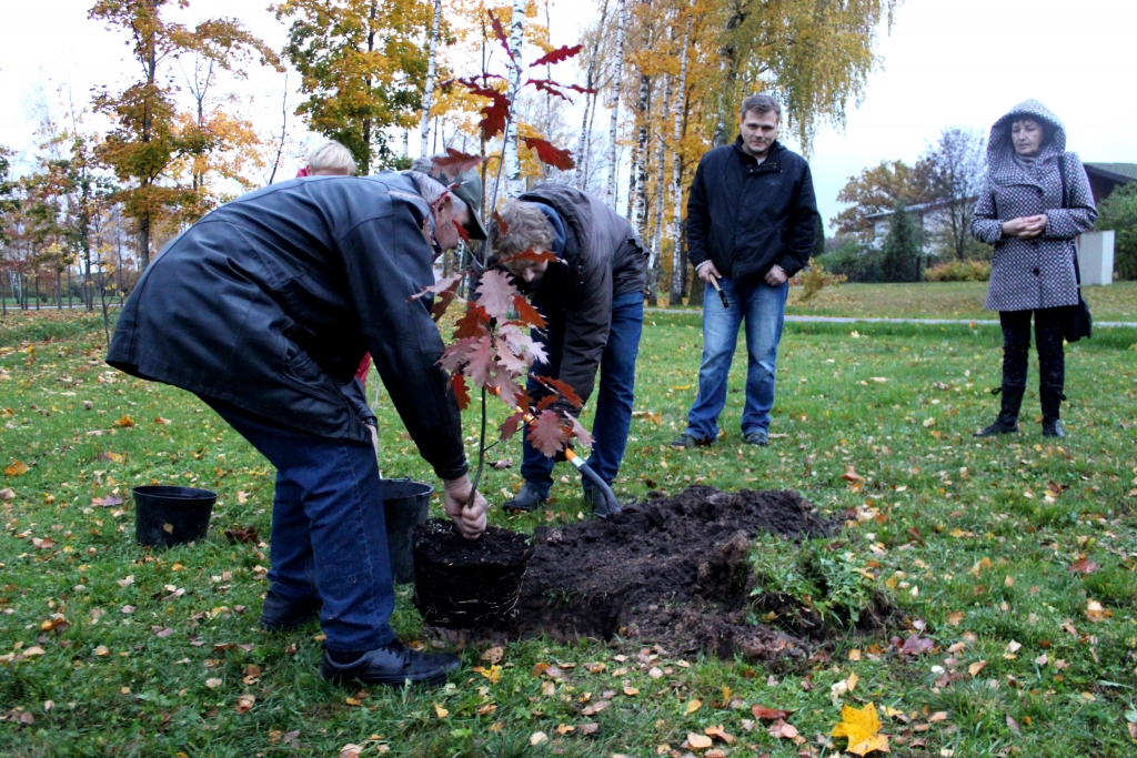 Ozolu par godu Reformācijas gadadienai stādīja mācītājs Roberts Otomers un Vecumnieku luterāņu draudzes dalībnieki.
Autors: K. Antonova, Vecumnieku novada domes sabiedrisko attiecību nodaļas redaktore