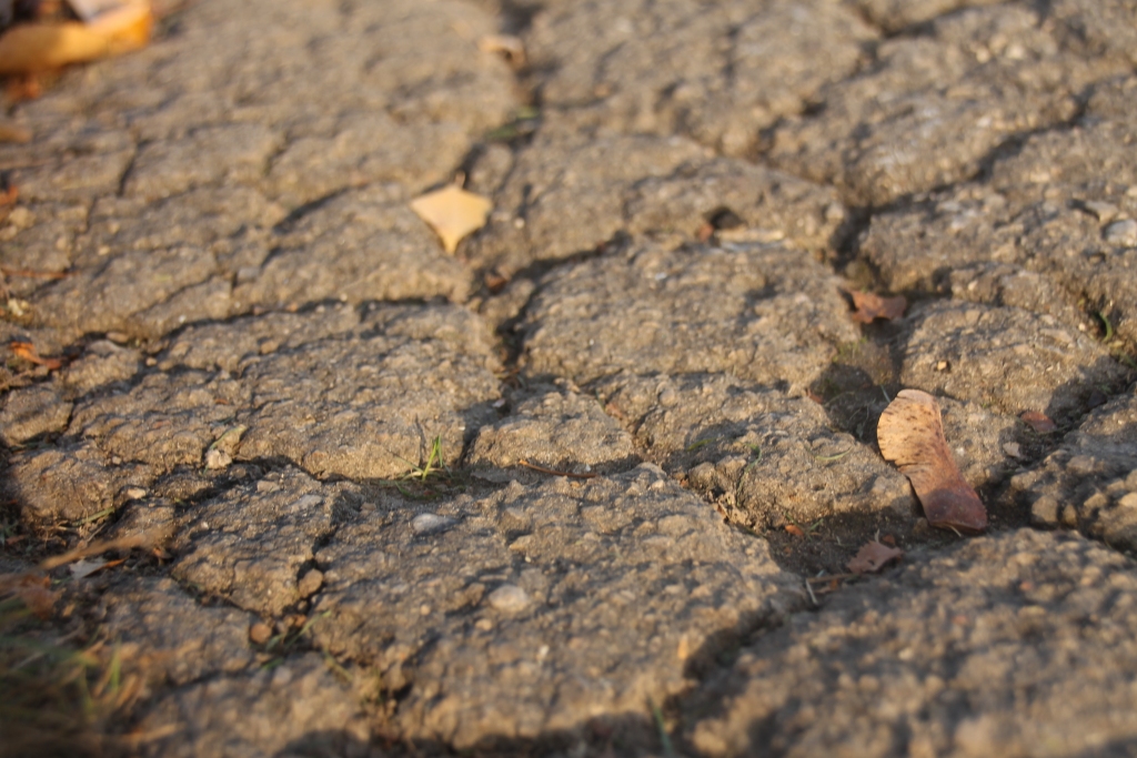 Nākamgad sola atjaunot segumu celiņiem Korfa dārzā.
Autors: Uldis Varnevičs