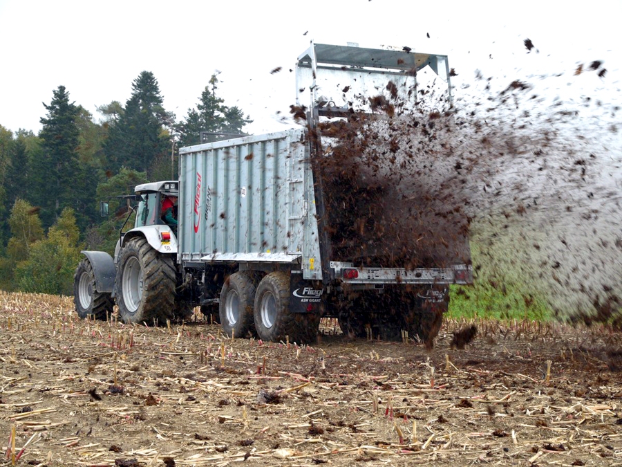 Mēslus šoruden uz laukiem drīkst izkliedēt līdz 1. decembrim, ievērojot noteikumus par 12 – 24 stundu iestrādi.
Autors: no «Bauskas Dzīves» arhīva.