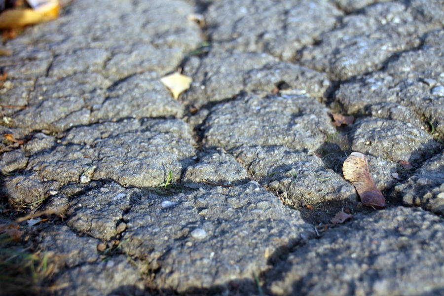 Korfa dārzā atjaunot segumu celiņiem sola nākamgad. Pašlaik daži no tiem izskatās šādi.
Autors: Uldis Varnevičs