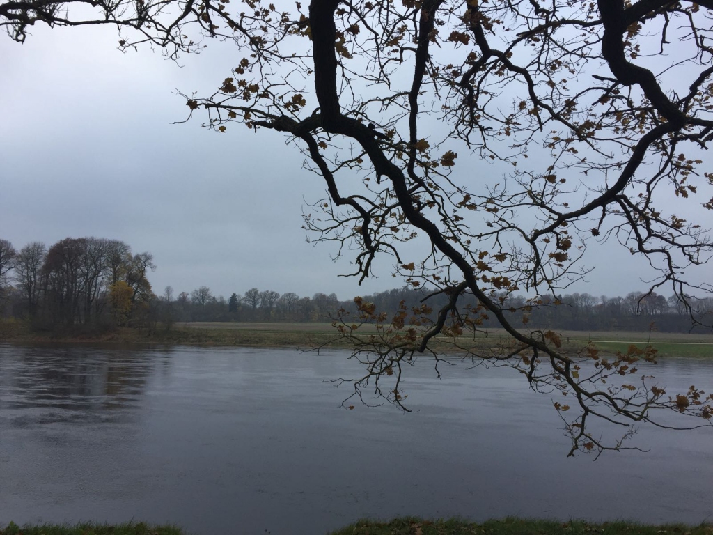 Novembrī pie Lielupes.
Autors: www.bauskasdzive.lv