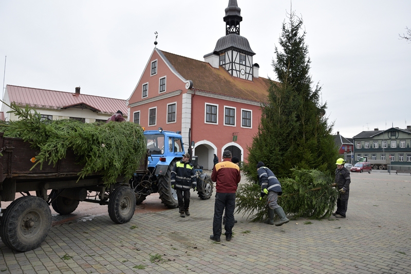 No Dāviņu pagasta uz Bausku atceļojuši vairāk nekā divdesmit koku, no kuriem tapusi pilsētas galvenā egle.
Autors: Ivars Bogdanovs