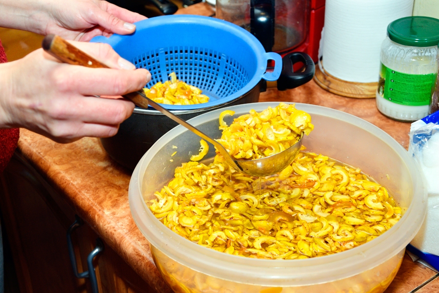 Cidoniju sukādes.
Autors: Ivars Bogdanovs