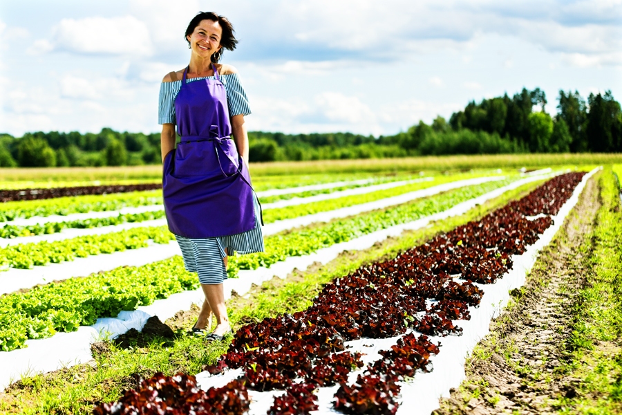 Hēlija Stepanoviča-Monkeviča ar dzīvesbiedra, uzņēmuma darbinieku un citu domubiedru atbalstu materializējusi dzīvē sapni par daudzveidīgu salātu rindām.
Autors: no bankas «Citadele» arhīva