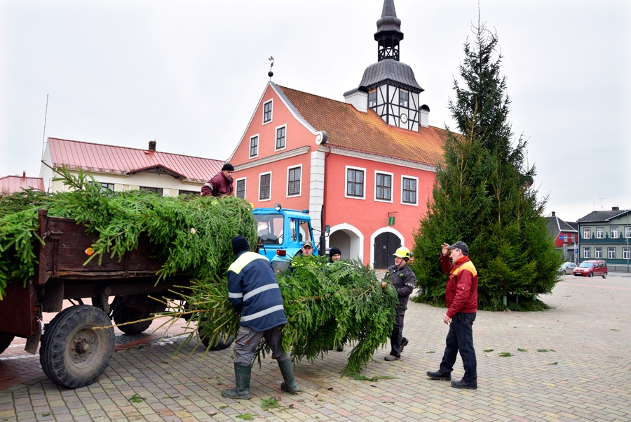 No Dāviņu pagasta uz Bausku atceļojuši vairāk nekā divdesmit koku, no kuriem tapusi pilsētas galvenā egle.
Autors: Ivars Bogdanovs