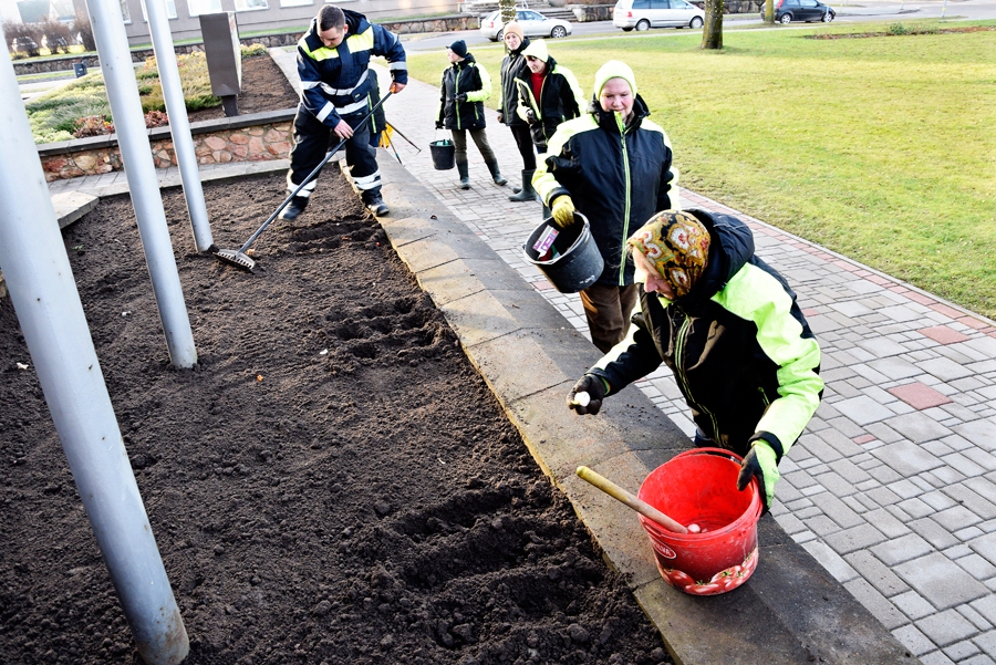 SIA «Vides serviss» darbinieki veido sīpolpuķu stādījumus pie novada domes administrācijas ēkas.
Autors: Ivars Bogdanovs