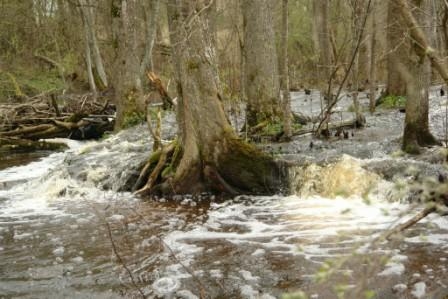 Fotoattēlam ilustratīva nozīme.
Autors: upes.lv