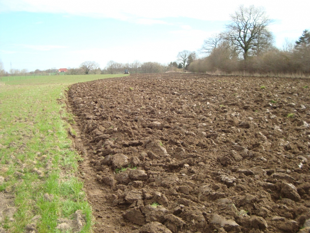 Autors: laukutikls.lv