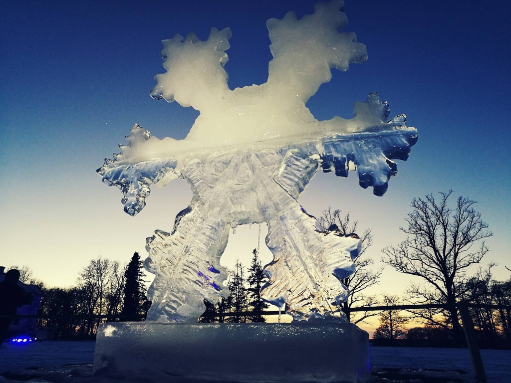 Pērn Pakrojas muižā pirmais ledus skulptūru festivāls raisīja lielu apmeklētāju interesi.
Autors: No albuma.