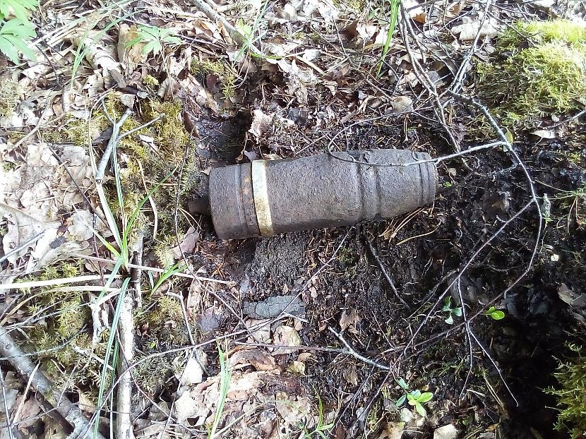 Attēlam ir ilustratīva nozīme.