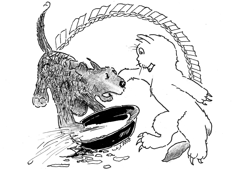 NO SAPŅU TĒLA – UZ RISINĀJUMU! FAKTS: novadu pašvaldībās ne vienmēr spēj vienoties par prioritātēm teritorijas attīstībā, un dažviet nereti gadās sakašķēties tā kā sunim ar kaķi pie maltītes bļodas.
Gribam redzēt Bausku skaistu,/ Saules daudz un mazāk graustu,/ Upju krastus pievilcīgus,/ Gidus viedus, atraktīvus./ Nebraucam mēs vairs ar zirgu,/ Grūti sasniegt Bauzes tirgu,/ Sapņo Miķelis, kad kluss,/ Riņķo Bauskā omnibuss./ Cerības ja nepievils,/ Uzcelta tiks Gaismas pils,/ «Rimi» dīķī ūdensrozes/ Gaiši mēļas galvas grozīs./ Tiem, kas vienaldzīgo kārtā,/ Tikai paša labums prātā,/ Tiem ir sveša vīzija,/ Domās tikai Īrija.
Autors: Zīmējums – Laimonis Šulcs, rīmes – Daina Ziemele