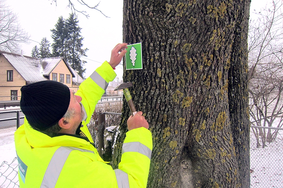 Autors: no personiskā albuma
