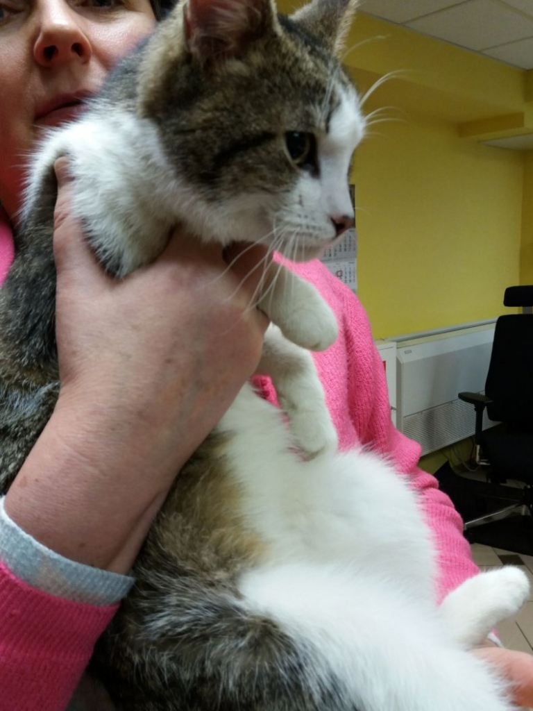 Aluksniesiem.lv raksta attēla aizvietotājs