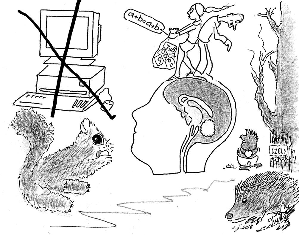 VECĀM LIETĀM NAUDAS SKAŅA. FAKTS: kompetenču pieejā balstītu mācību saturu skolās iecerēts ieviest nākamajā mācību gadā, piecu gadu laikā izveidojot atbalsta mehānismus skolām un skolotājiem, pašvaldībām un vecākiem sekmīgai mācīšanas pieejas maiņai. Reizē tā ir arī naudas apgūšana un bizness – programmu, nodarbību scenāriju un citu mācību līdzekļu štancēšana.
Nemācīsies vairs no galvas –/ Ezim adatas vai spalvas,/ Skolas bērni laukā ies,/ Dabai acīs skatīsies./ Skolotāji pados tēmu,/ Pierādītu teorēmu,/ Kur to dzīvē lietā liks,/ Bērni skaidrībā nu tiks./ Miķelis ar gadu nastu/ Neredz neko neparastu,/ Skaitāmkociņi un pirksti/ Viņā dedza prāta dzirksti./ To nu kompetencēs balstīs,/ Kā to darot citās valstīs./ Svešvārdā, šķiet, vairāk vietas/ Ietilpināt vecas lietas.
Autors: Zīmējums – Laimonis Šulcs, rīmes – Daina Ziemele