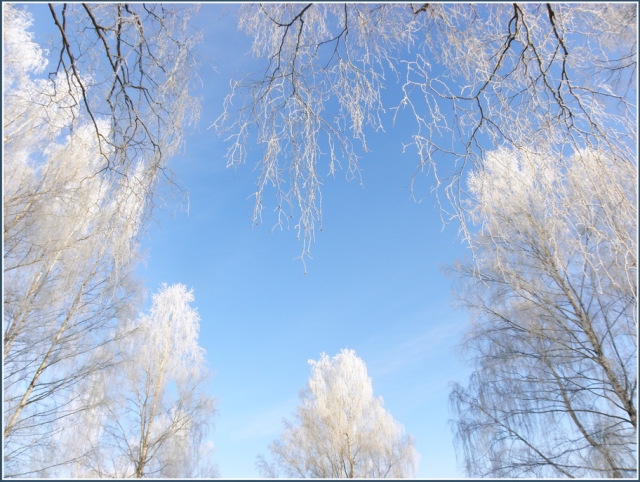 Autors: wordpress.com