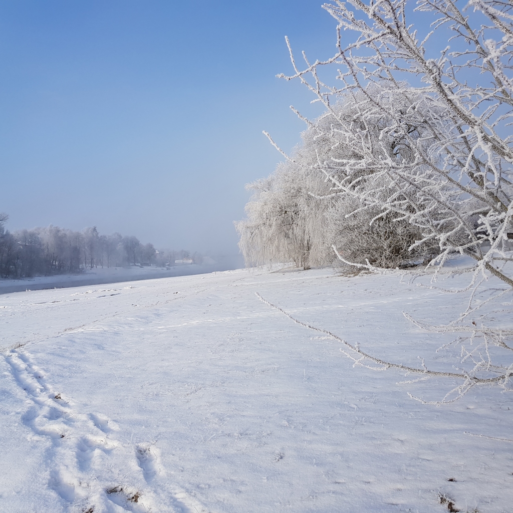 Autors: www.bauskasdzive.lv