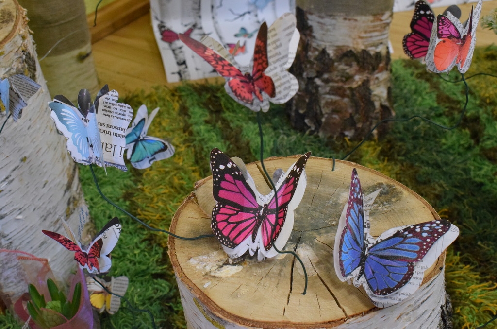 Autors: Žanna Zālīte