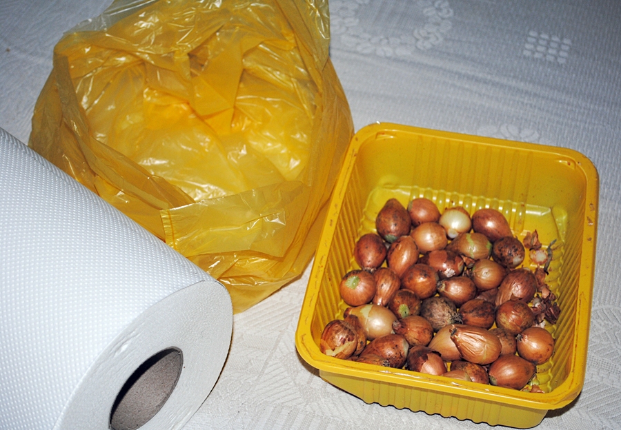 Autors: Sarmīte Ozola