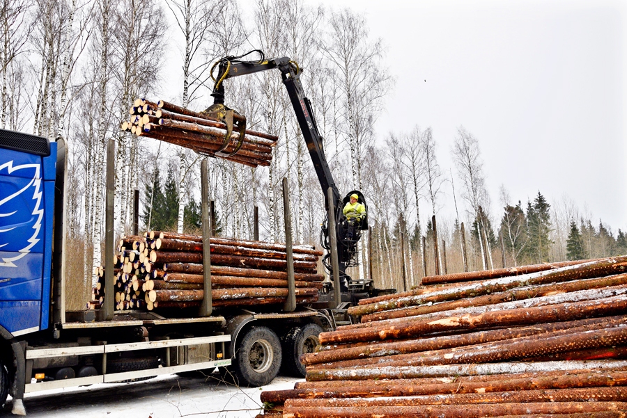 Ceraukstes pagasta Skultēnu mežā kokus izved SIA «Mobaco Green». Strādā iecavnieks Jānis Medveckis.
Autors: Ivars Bogdanovs