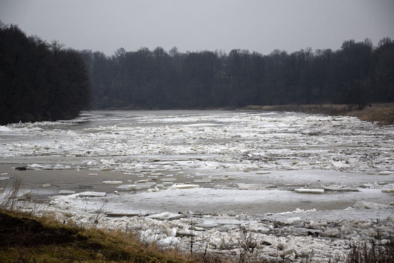 Ledus sastrēguma dēļ Lielupē pie Mežotnes ūdens līmenis trešdien strauji kāpis par pusotru metru.
Autors: Ivars Bogdanovs