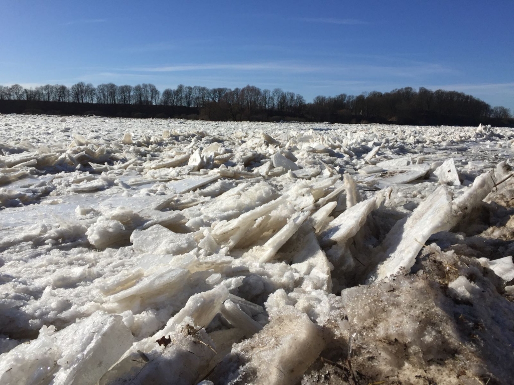 Lielupe Mežotnē pie pils parka svētdienā, 18. martā.
Autors: no «Bauskas Dzīves» arhīva