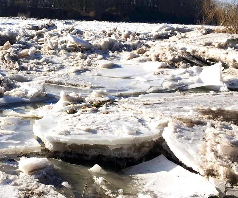 Autors: no «Bauskas Dzīves» arhīva