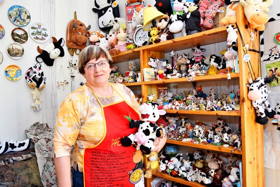 Vineta Majevska savu govju figūriņu kolekciju izvietojusi speciāli gatavotos plauktiņos.
Autors: Ivars Bogdanovs