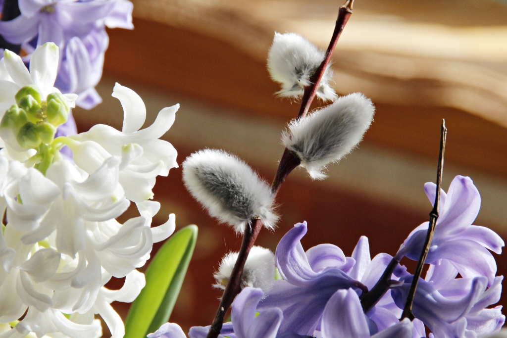 Autors: Alise Dreimane