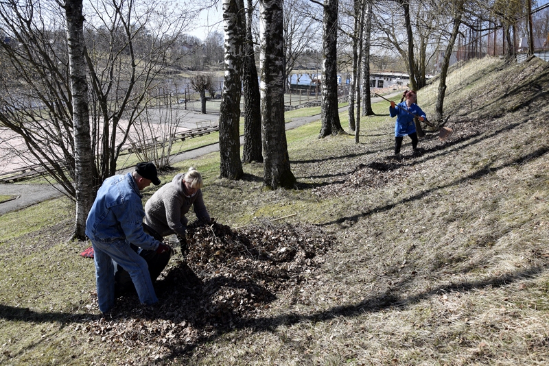 Atpūtas un krasta zonas teritoriju uzkopj sētnieki, savācot pērnās lapas, gružus un atkritumus.
Autors: Ivars Bogdanovs