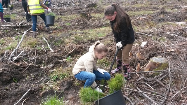 Autors: http://png.edu.lv/