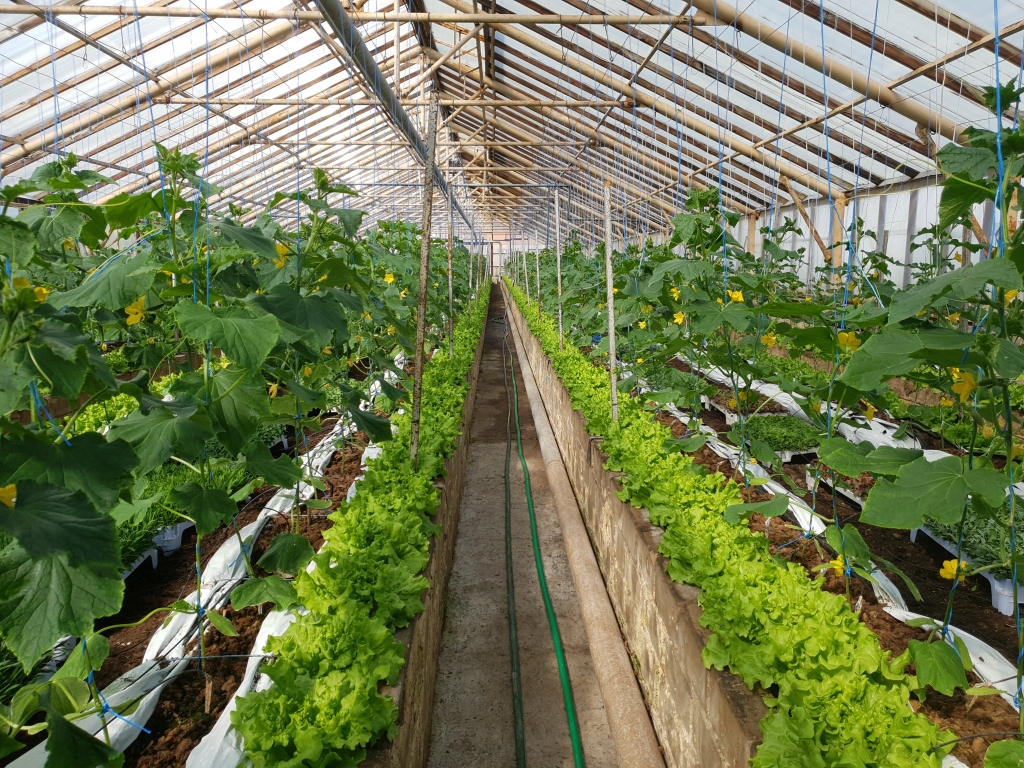 Autors: Sandra Danosa