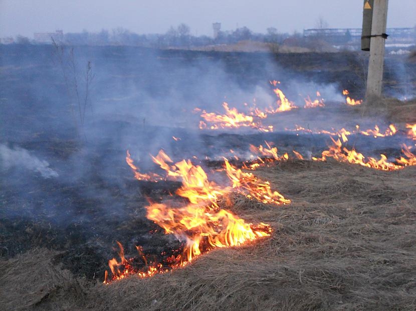 Fotoattēlam ilustratīva nozīme.
Autors: apollo.lv